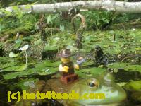 /home//u458753944/public_html/sourcegallery//////////////Frogs/More bullfrogs/P7251202.JPG